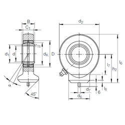 Bearing GK 17 DO INA