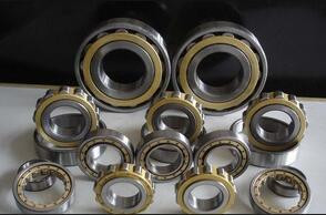 Rexroth hydraulic pump bearings F-202965