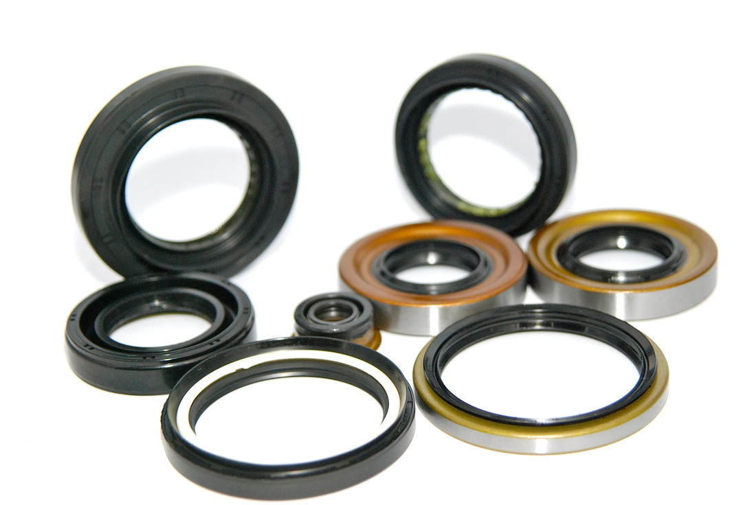 SKF 530466 / 36X0.813X1.25 CT1 R Oil Seals