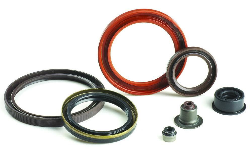 SKF 59795477 Oil Seals