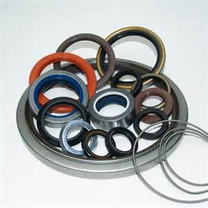 SKF 72X88X8 CRW1 Oil Seals