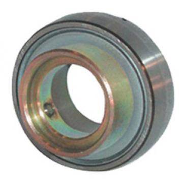 INA GRAE45-NPP-B-FA125 Insert Bearings Spherical OD