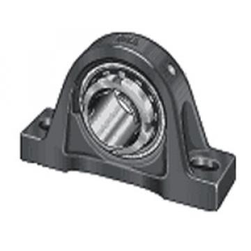 INA RASEA25-N Pillow Block Bearings