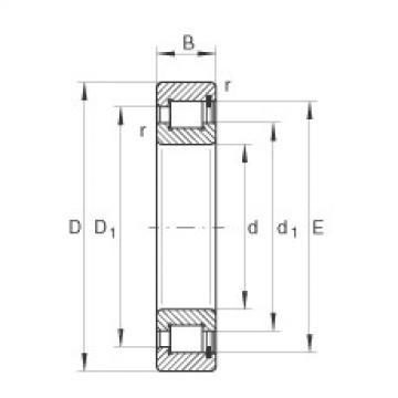 Bearing SL182228 INA