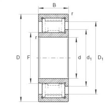 Bearing ZSL192314 INA