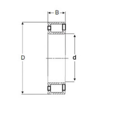 Bearing NCF 3032 V SIGMA