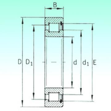 Bearing SL182215 NBS