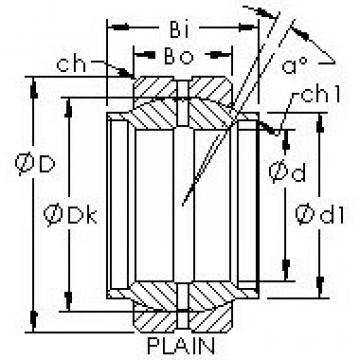 Bearing GEWZ25ES AST