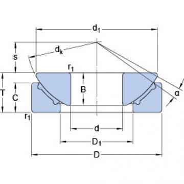 Bearing GX 100 F SKF