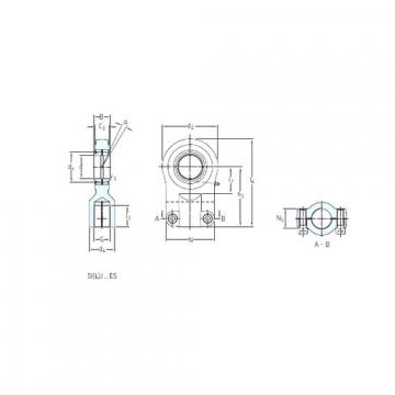 Bearing SIJ 100 ES SKF