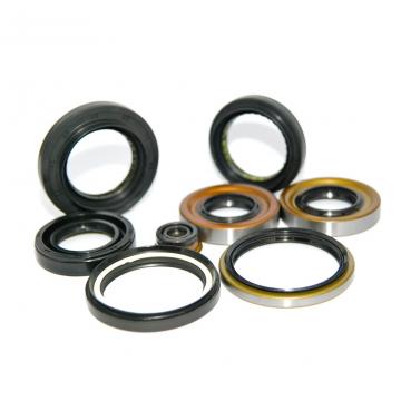 SKF 100X130X12 HMSA7 R Oil Seals