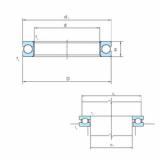 Bearing PSL211-302 PSL