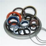 SKF 26381 / 67X85X10 CRSH12 R Oil Seals