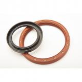 SKF 13757 / 1.38X2.282X0.354 HMSA97 V Oil Seals