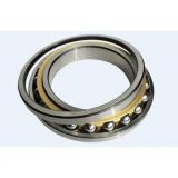 Bearing TUP1 10.06 CX