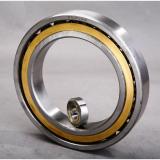 Bearing TUP1 120.100 CX